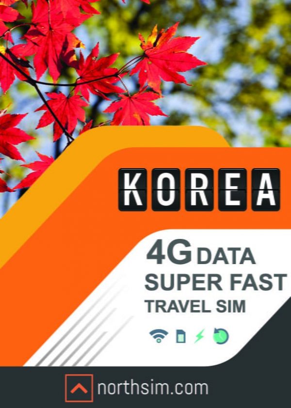 best travel sim korea data prepaid card